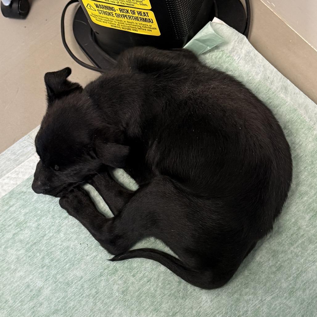 Hotch — thumbnail 3