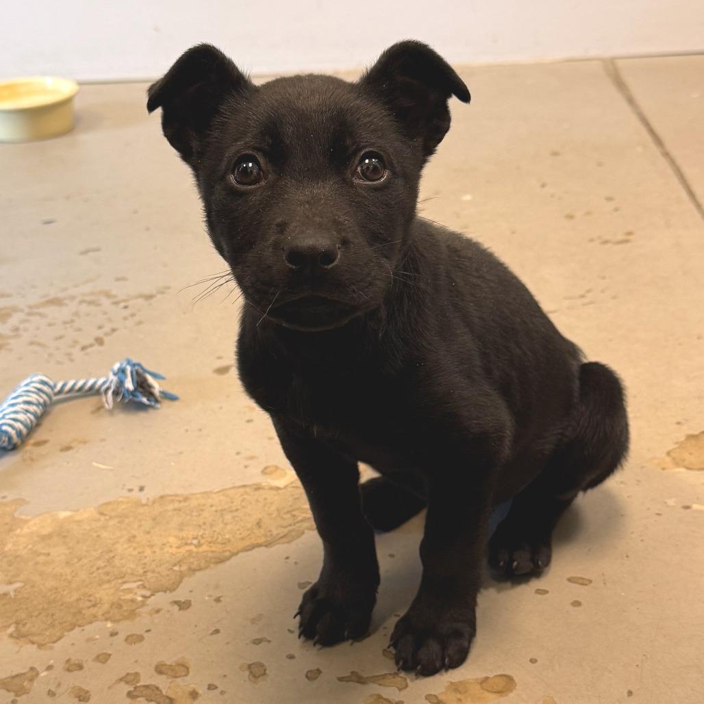 Hotch — thumbnail 4