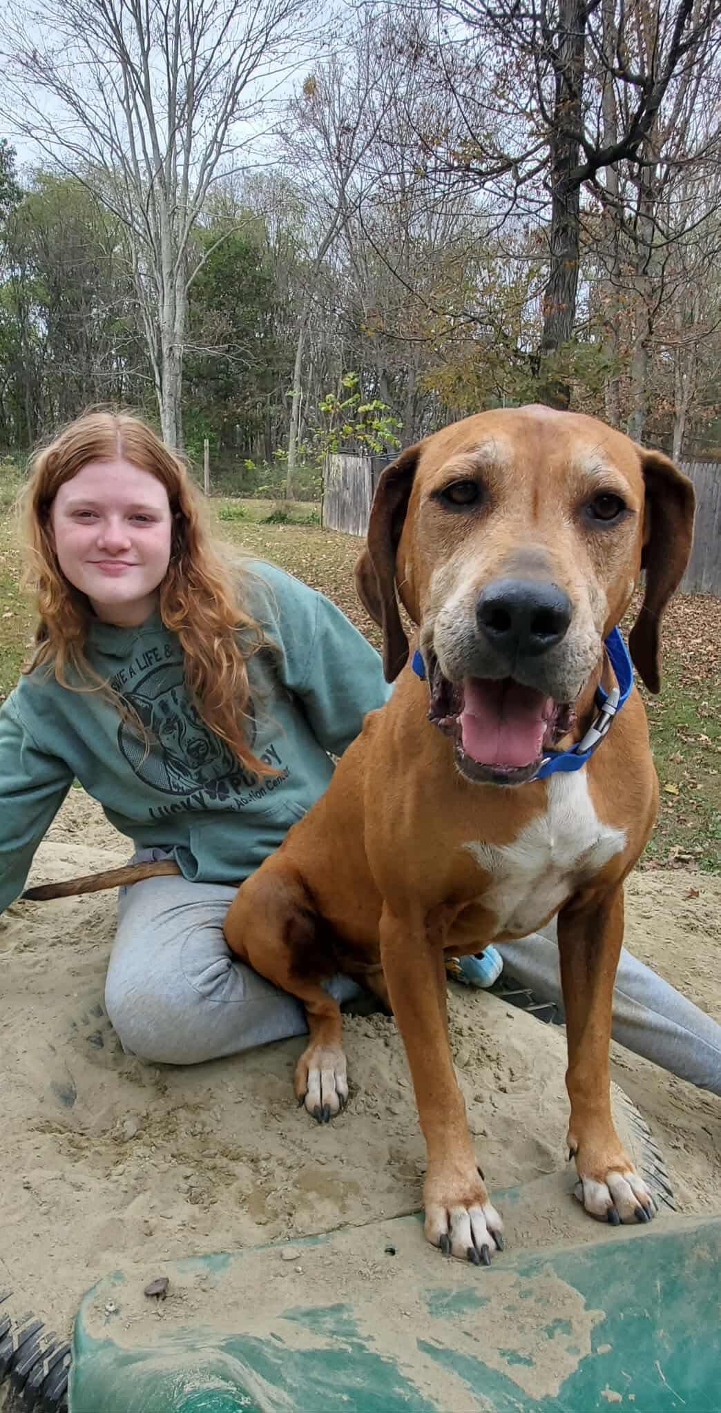 Enlarge Sweetheart, a Adoptable mixed breed in Argyle, NY image 3/6