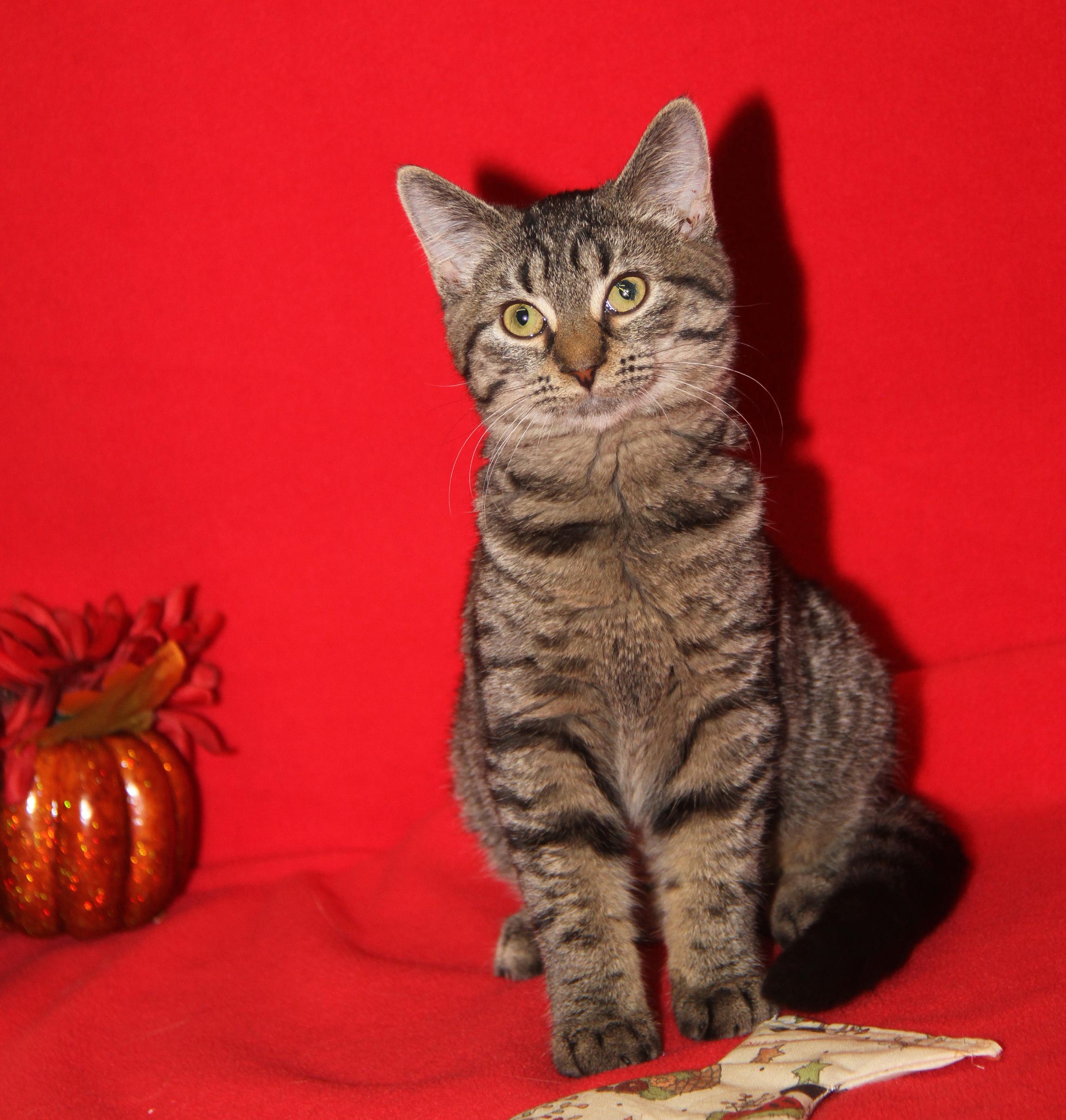 Nancy Thompson thumbnail 5