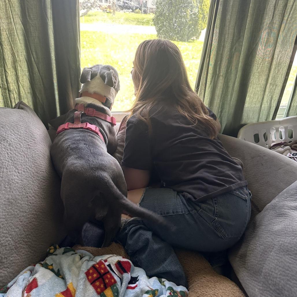 Enlarge Moana, a Adoptable mixed breed in Mooresville, IN image 5/5