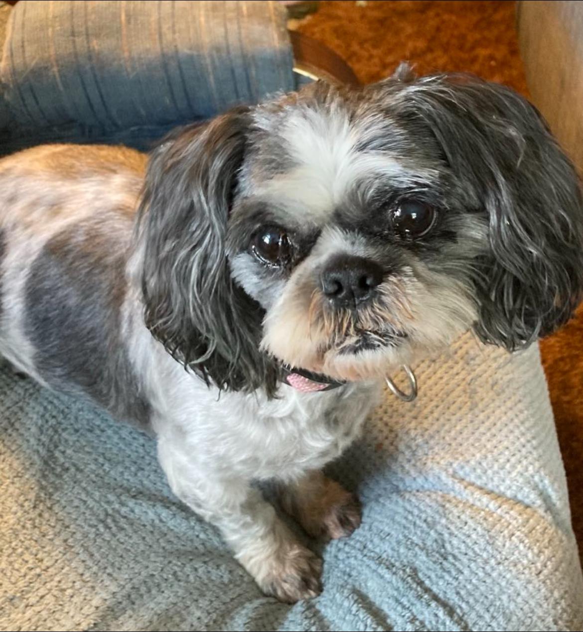 Lucy!!, Senior Female unknown