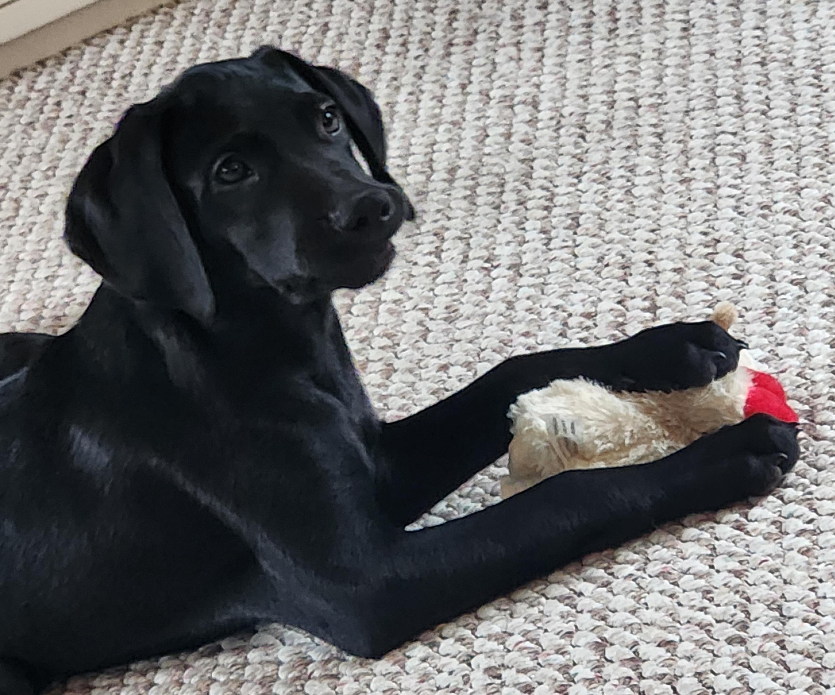 Etta