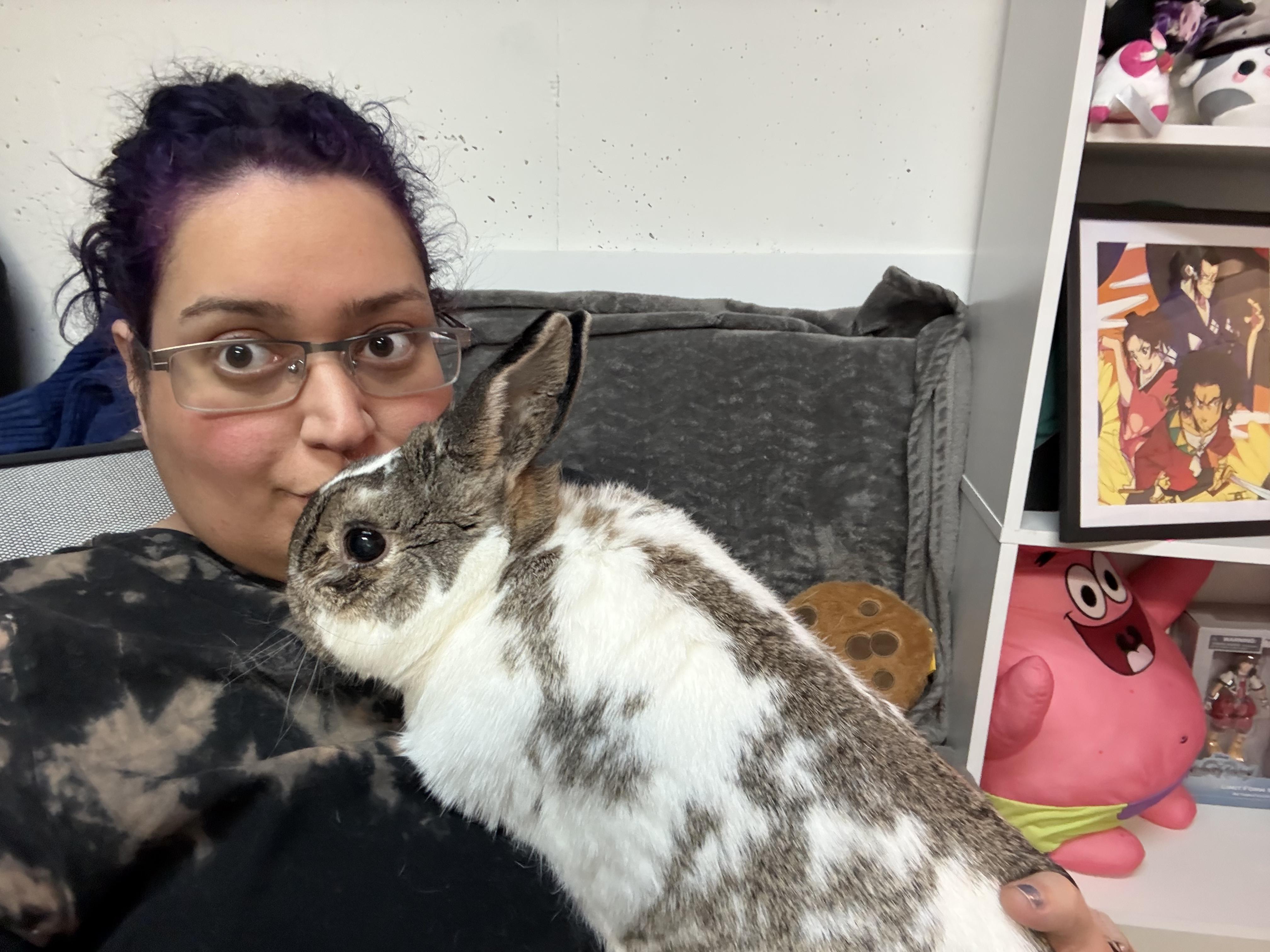 Saylor, a ADOPTABLE Bunny Rabbit in Naperville, IL image 3/5