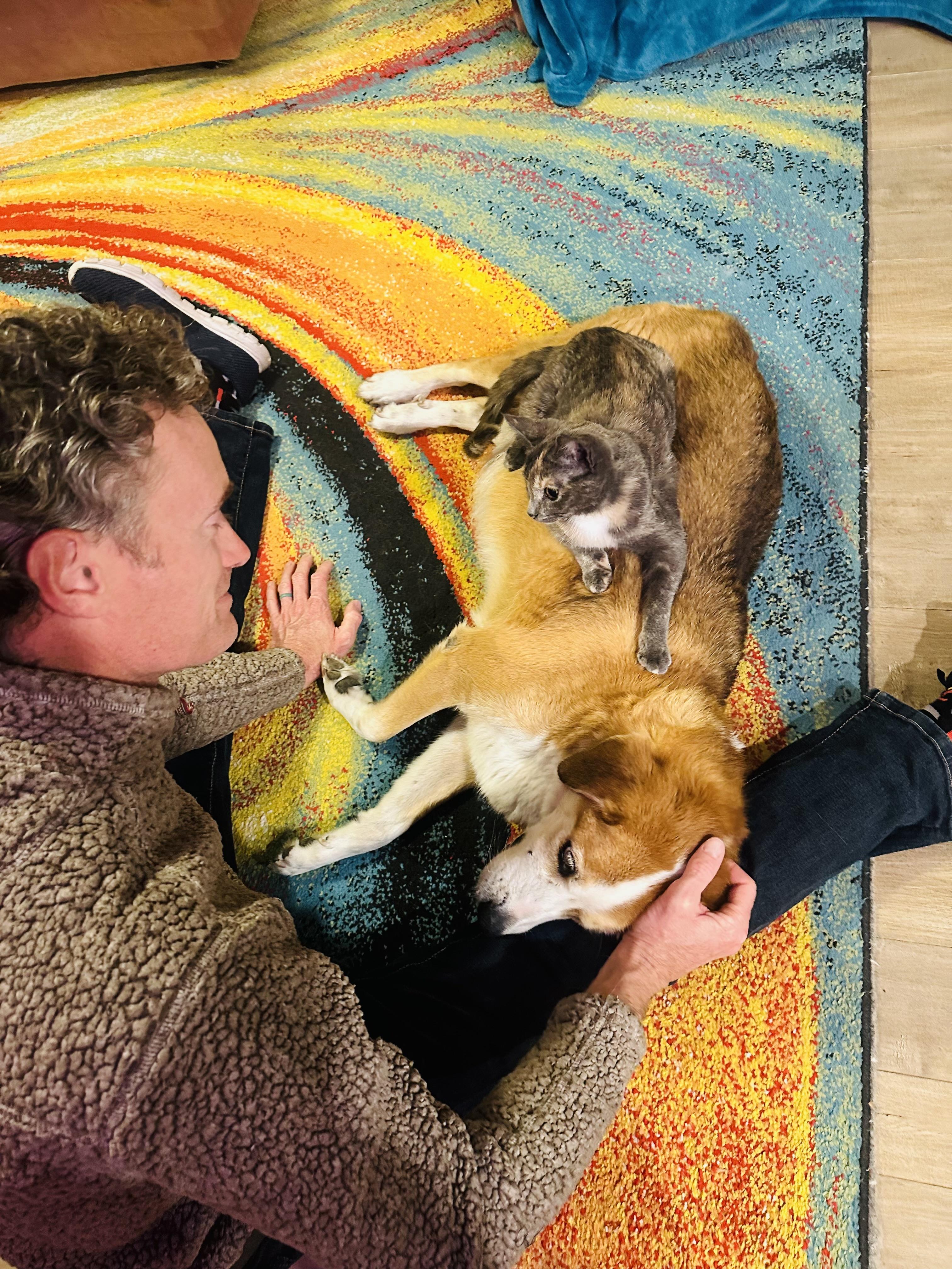 Enlarge LadyGray, an adopted mixed breed in Little River, SC image 2/5