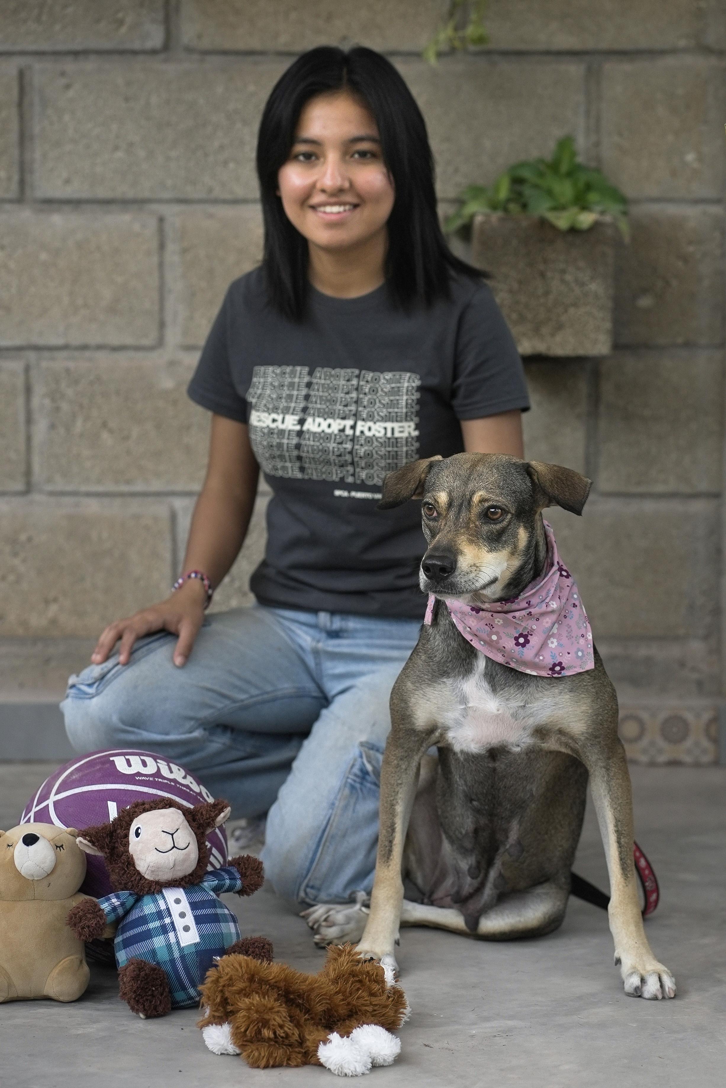 Enlarge Lola, a Adoptable mixed breed in nanaimo, BC image 1/5