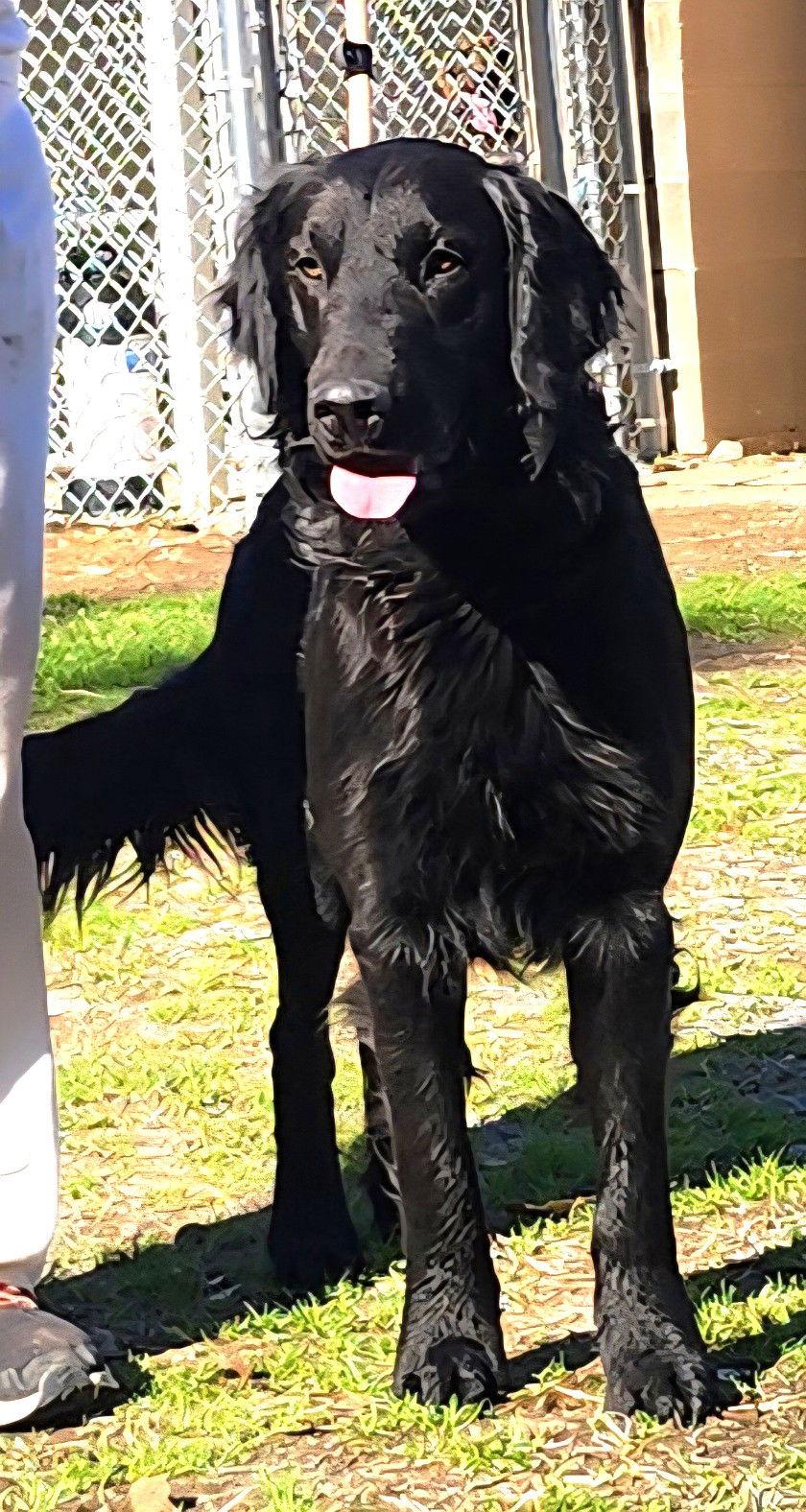 260291 Cracker — thumbnail 2