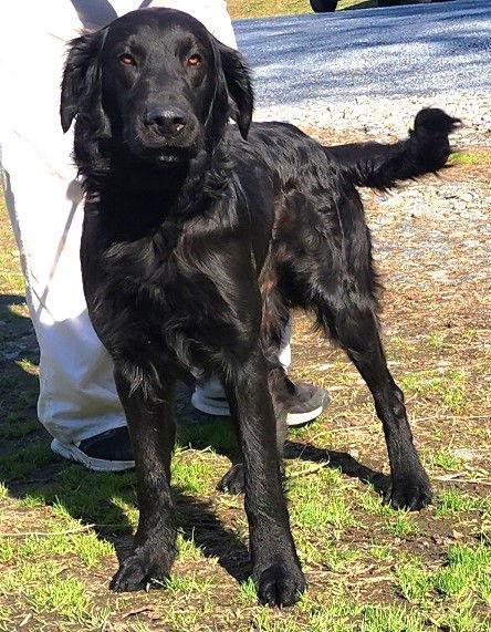 260291 Cracker — thumbnail 3