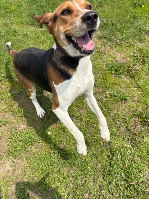 Ruger