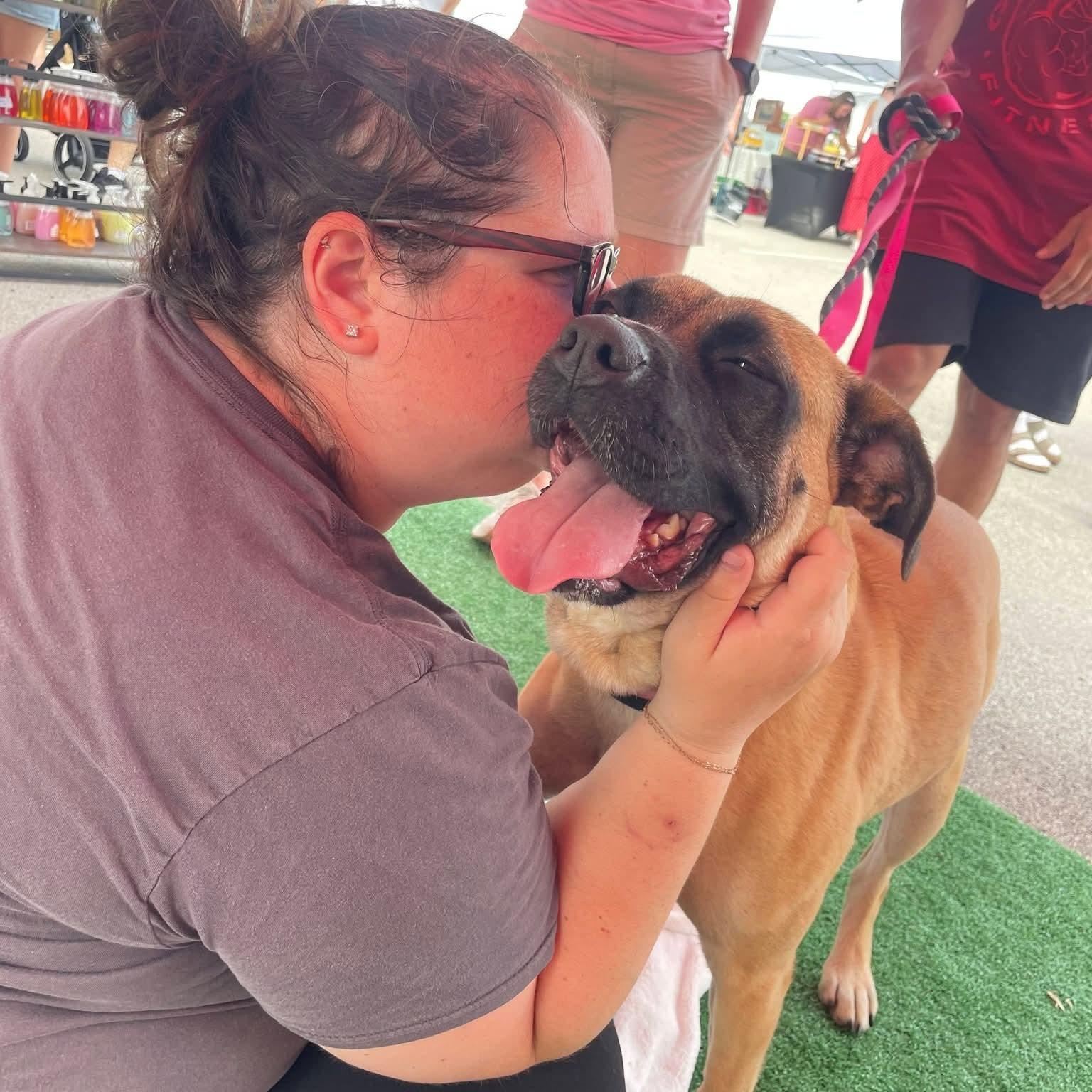 Meeka, a ADOPTABLE mixed breed in Minooka, IL image 1/6
