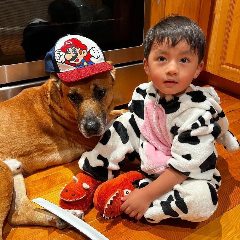 Enlarge Salinas, a Adoptable mixed breed in Roseville, CA image 3/6