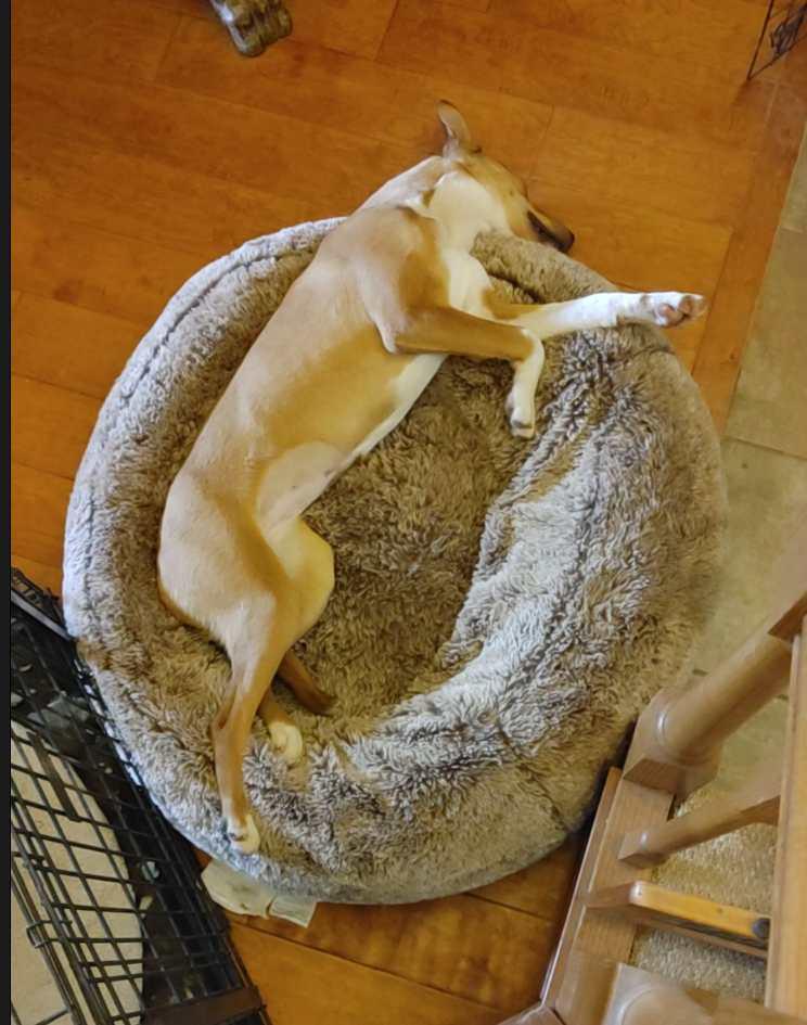 Louise — thumbnail 2