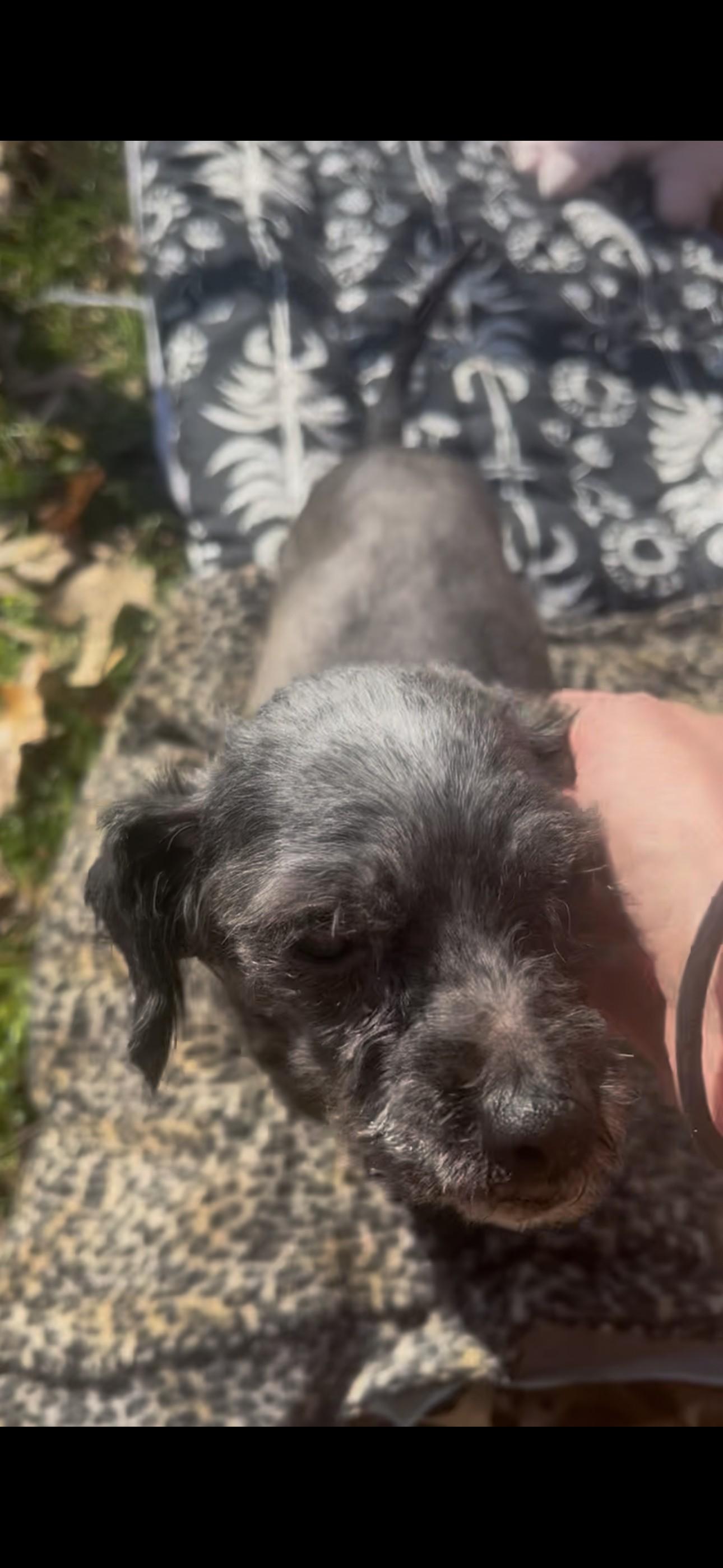 Grace — thumbnail 4