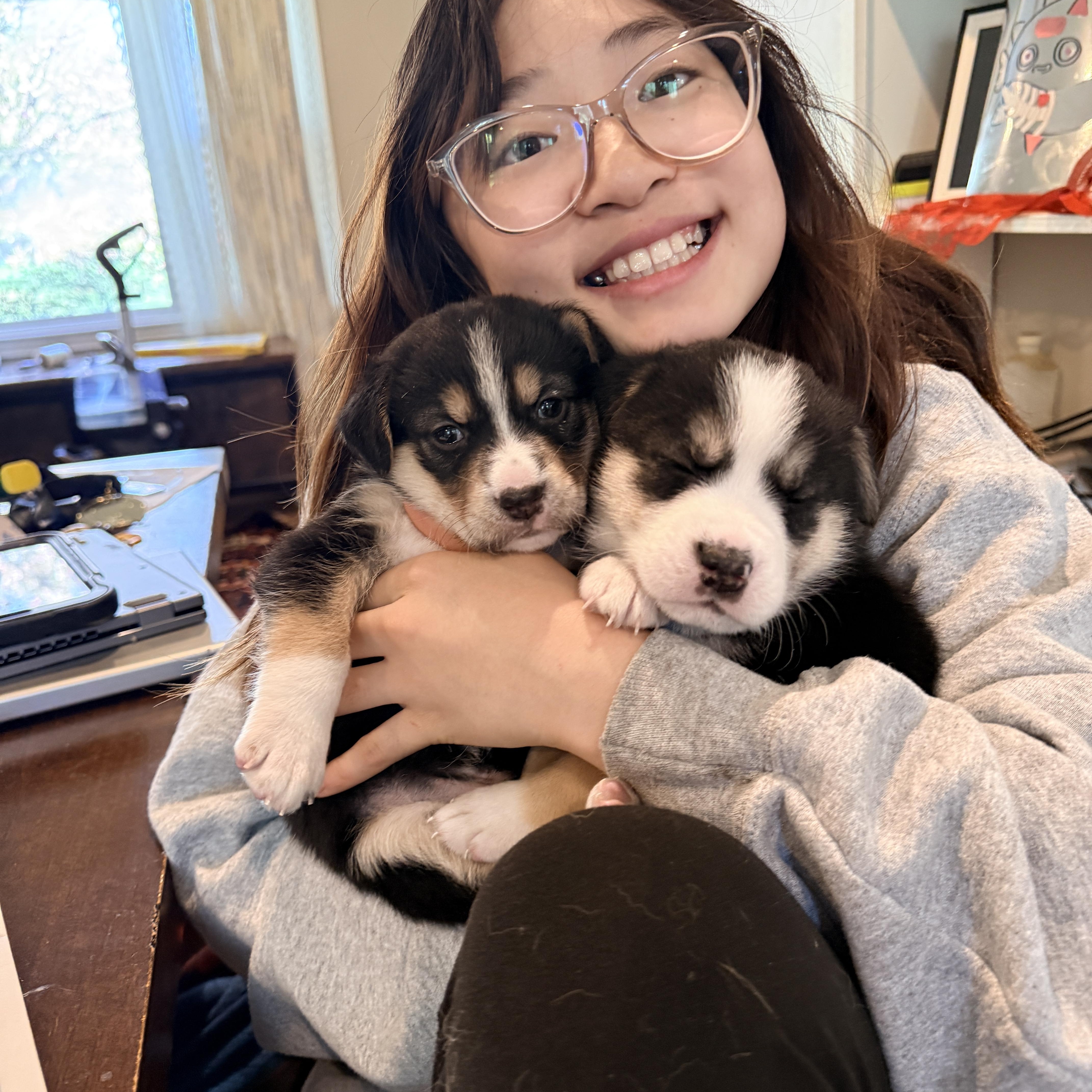 Johanna , a Adoptable mixed breed in Columbia, MD image 3/5