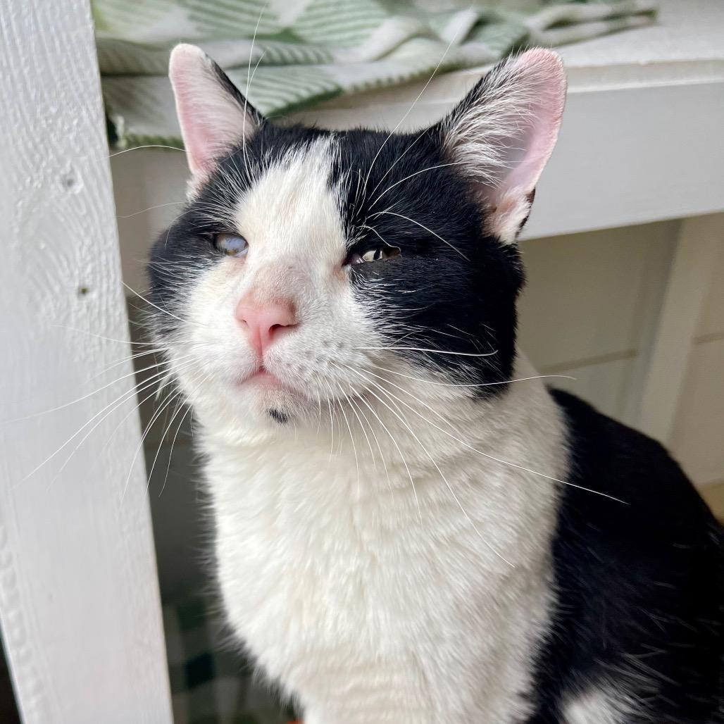 Mr. Bean — thumbnail 2