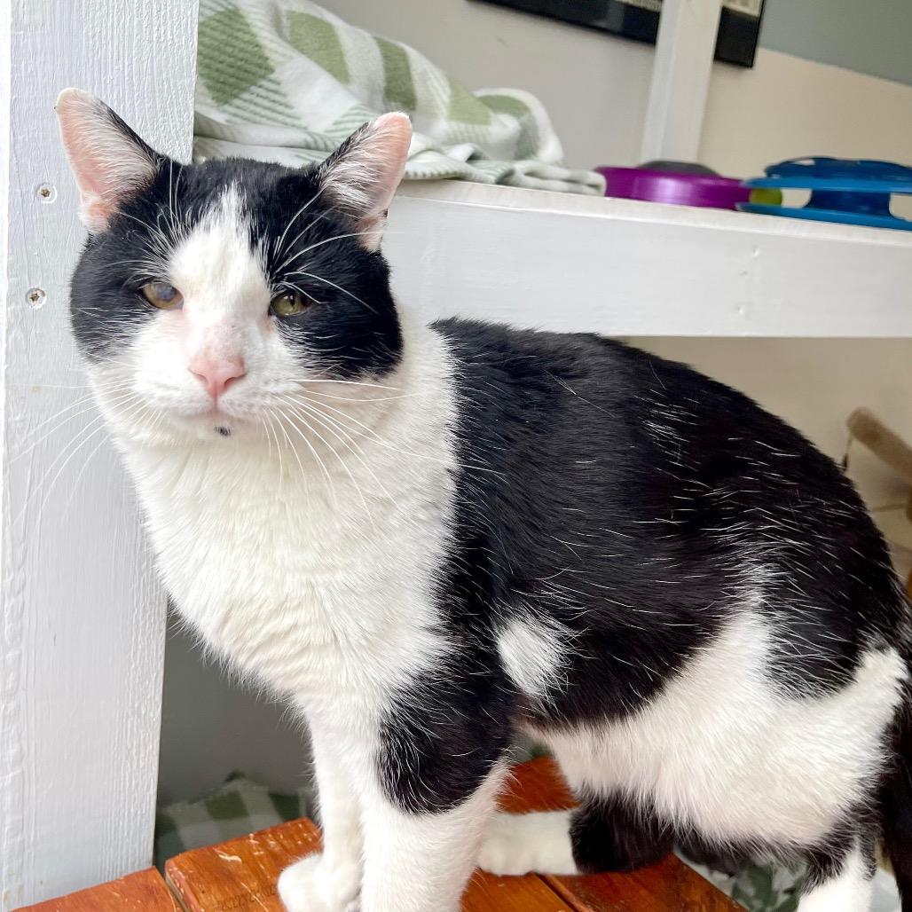 Mr. Bean — thumbnail 3