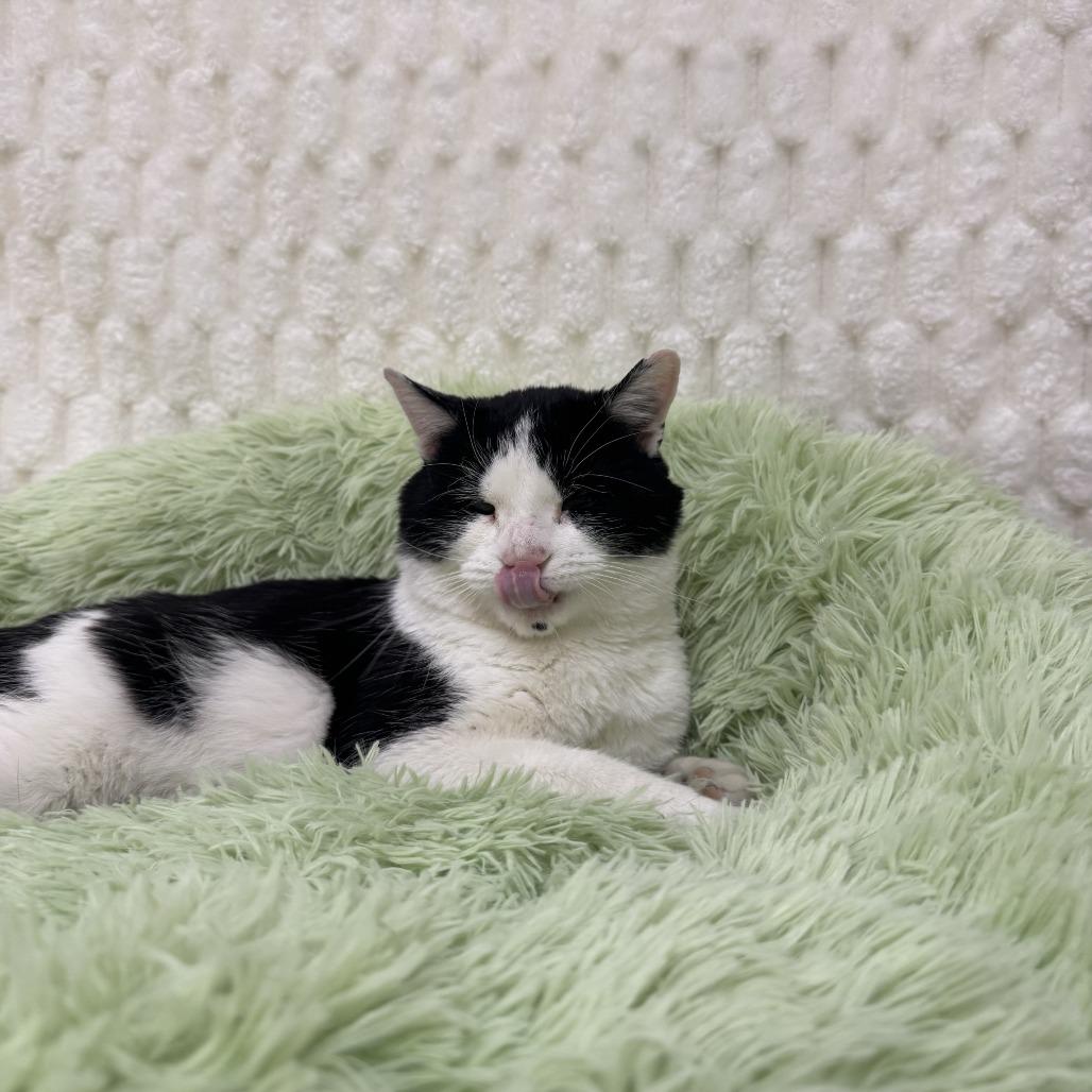 Mr. Bean — thumbnail 4