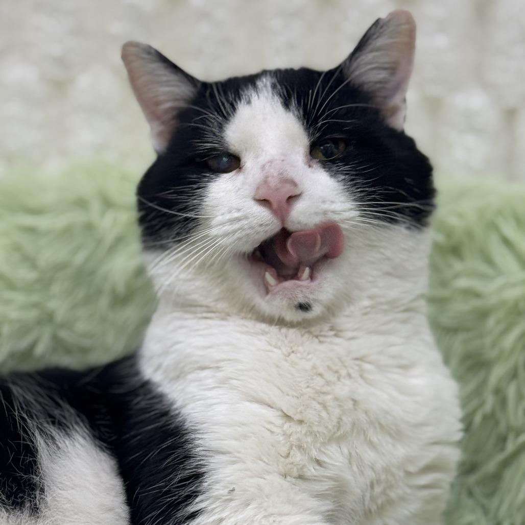 Mr. Bean — thumbnail 6