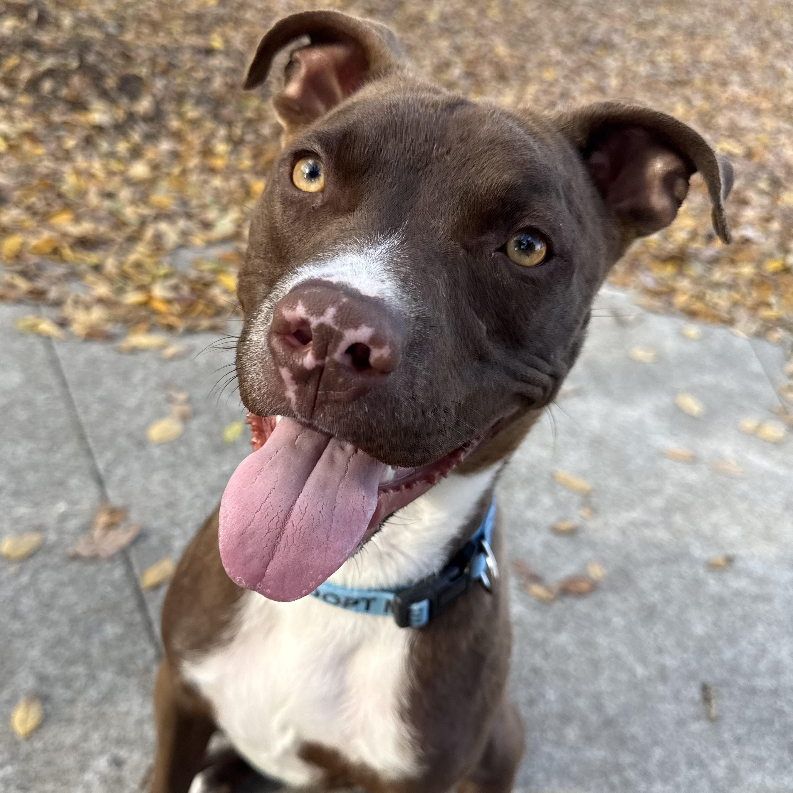 Hermit — thumbnail 2