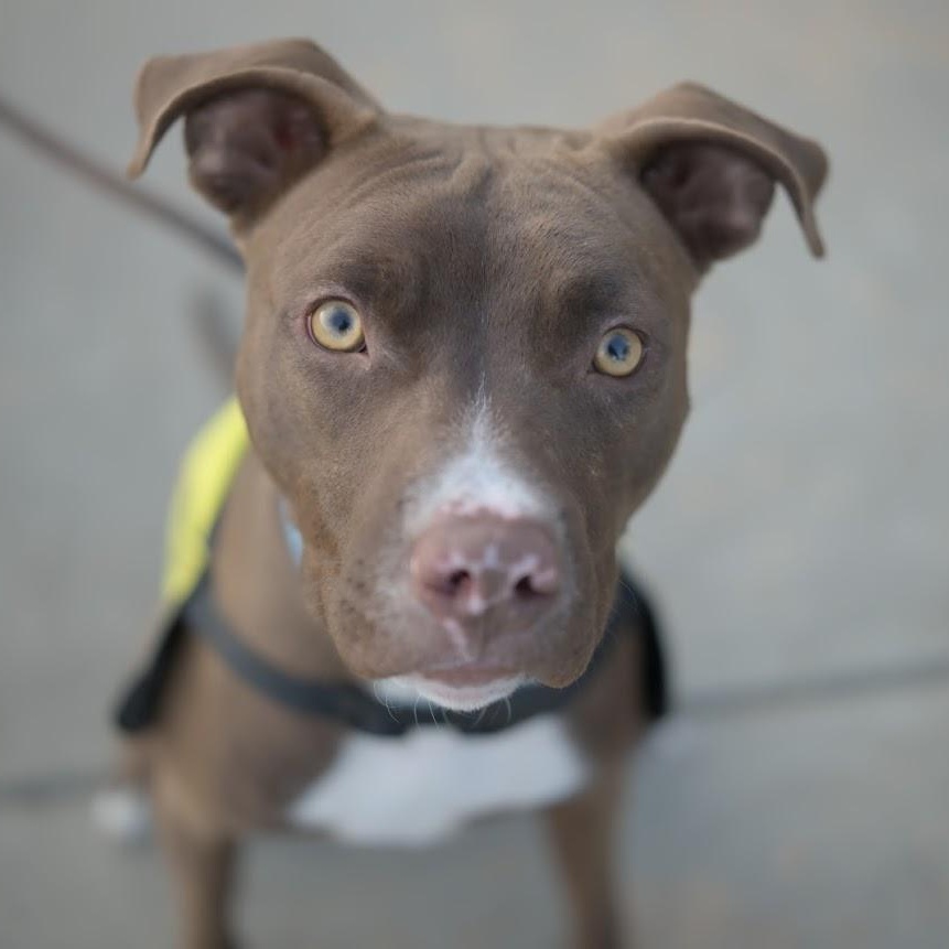 Hermit — thumbnail 6