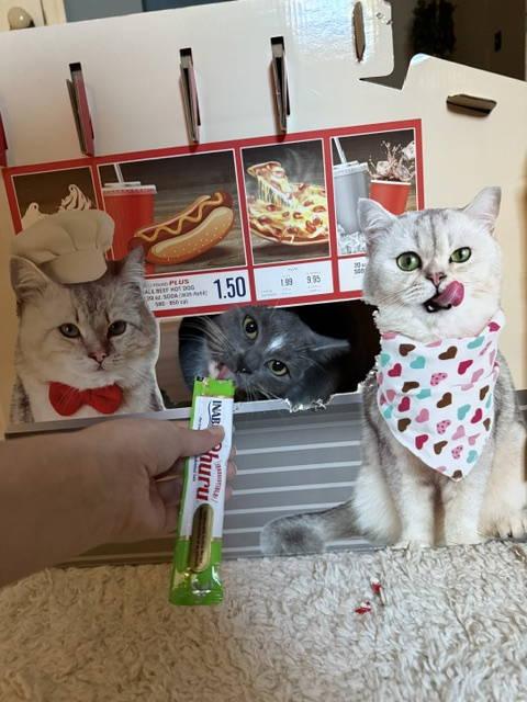 Serena  Willow Grove thumbnail 2