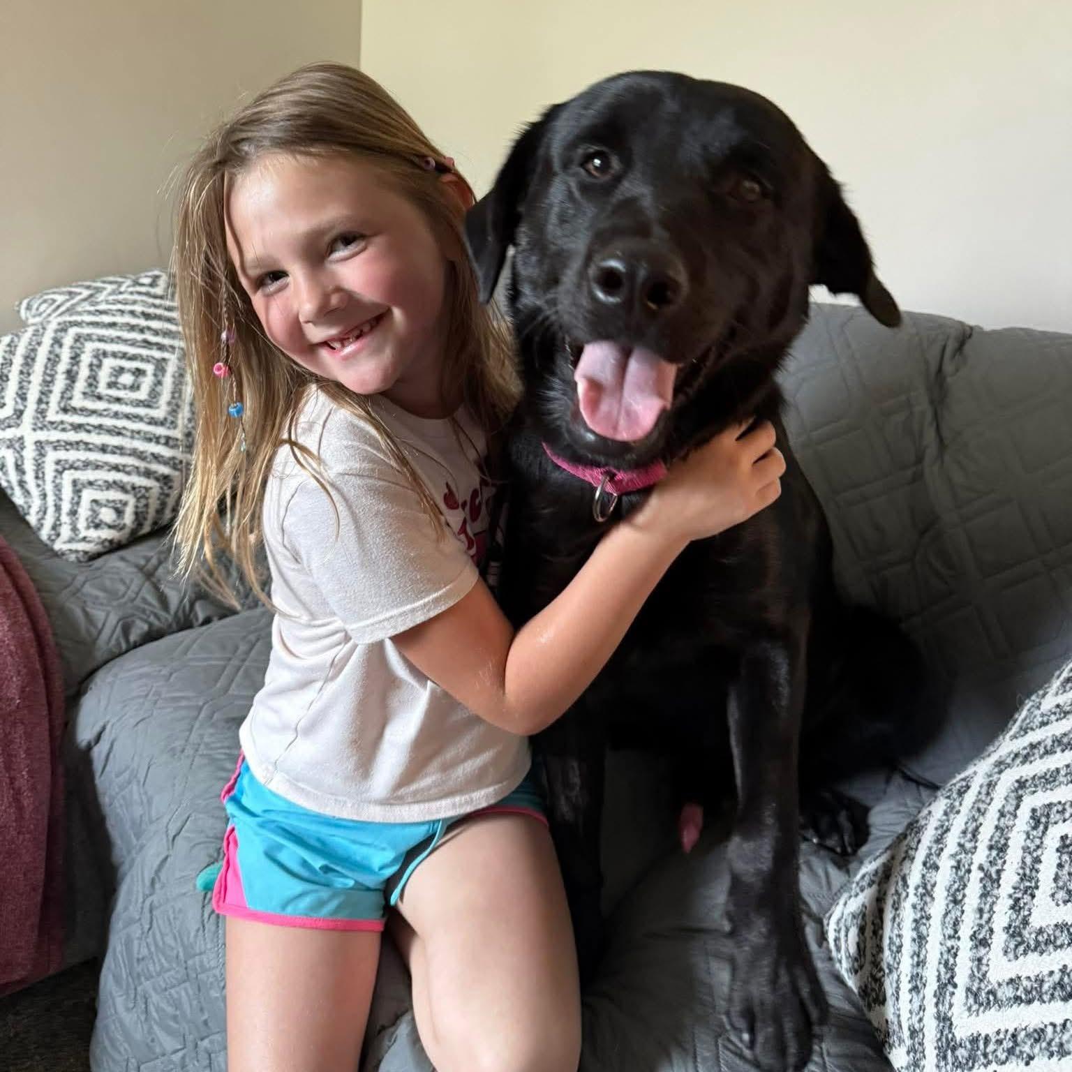 Karl, an adopted Black Labrador Retriever in Bethlehem, PA image 3/6