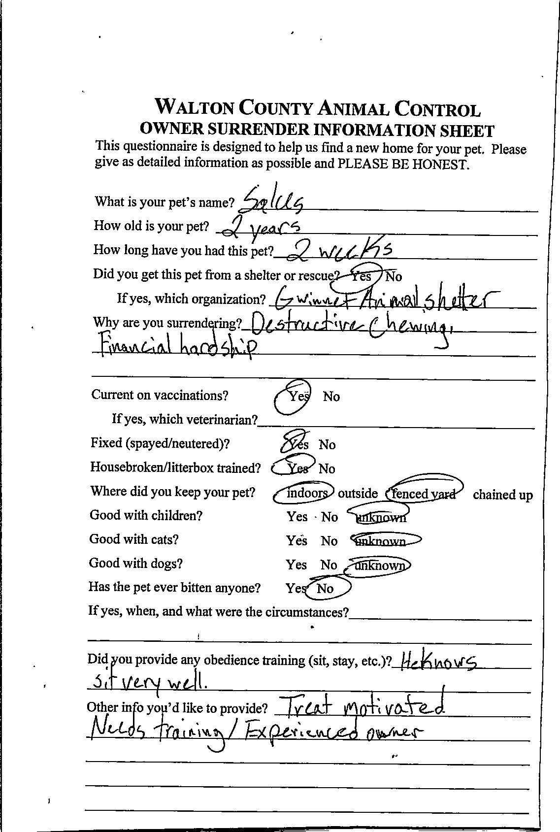 Enlarge Salus #22127, a ADOPTABLE mixed breed in Monroe, GA image 2/6