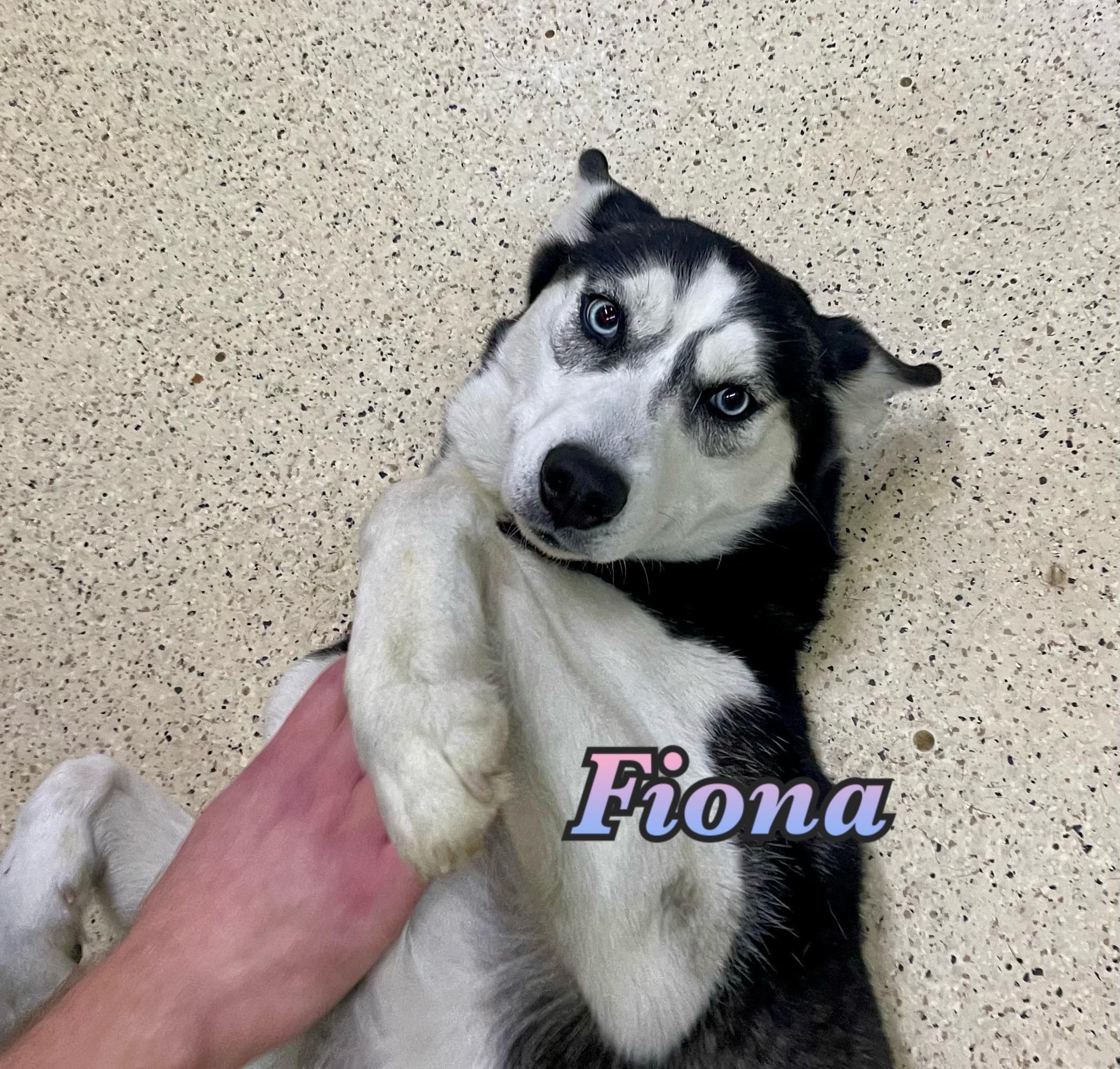 Fiona
