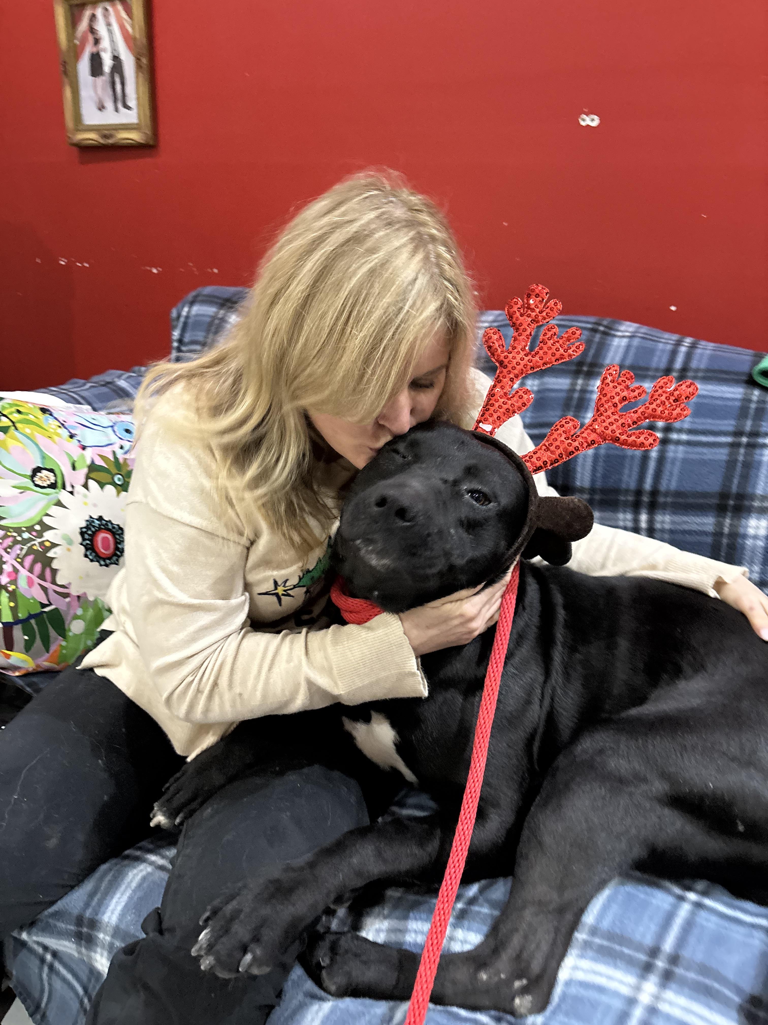 Enlarge Jax, a ADOPTABLE mixed breed in Saratoga Springs, NY image 6/6