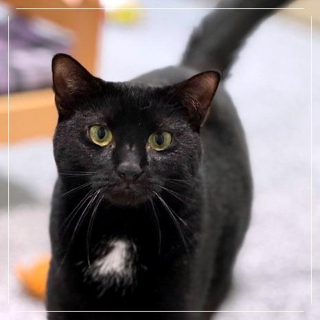 Firework — thumbnail 3