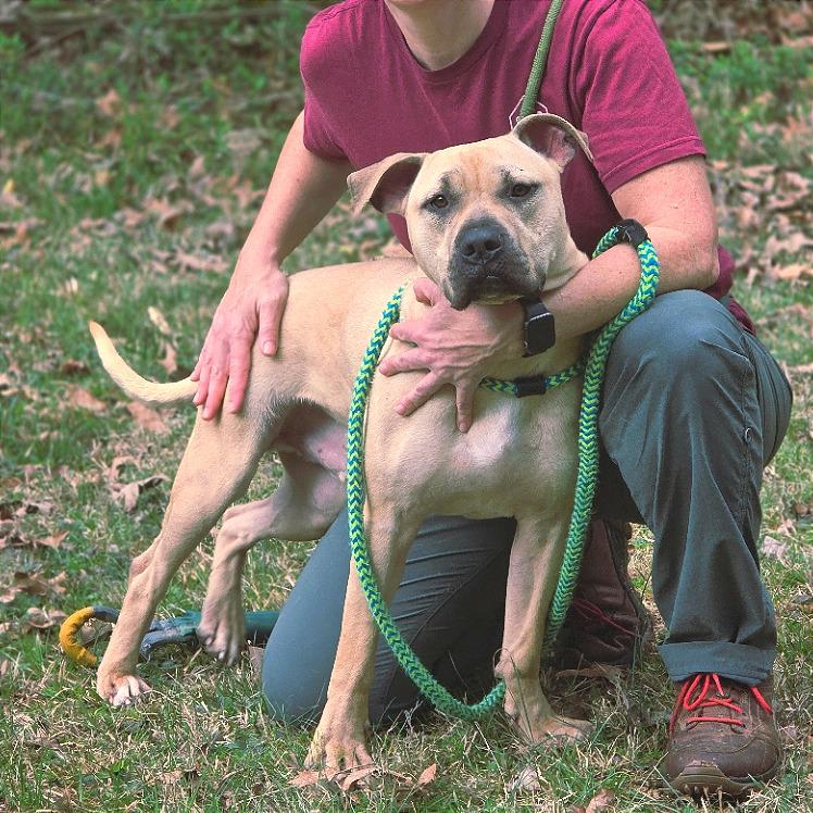 Samwise — thumbnail 5