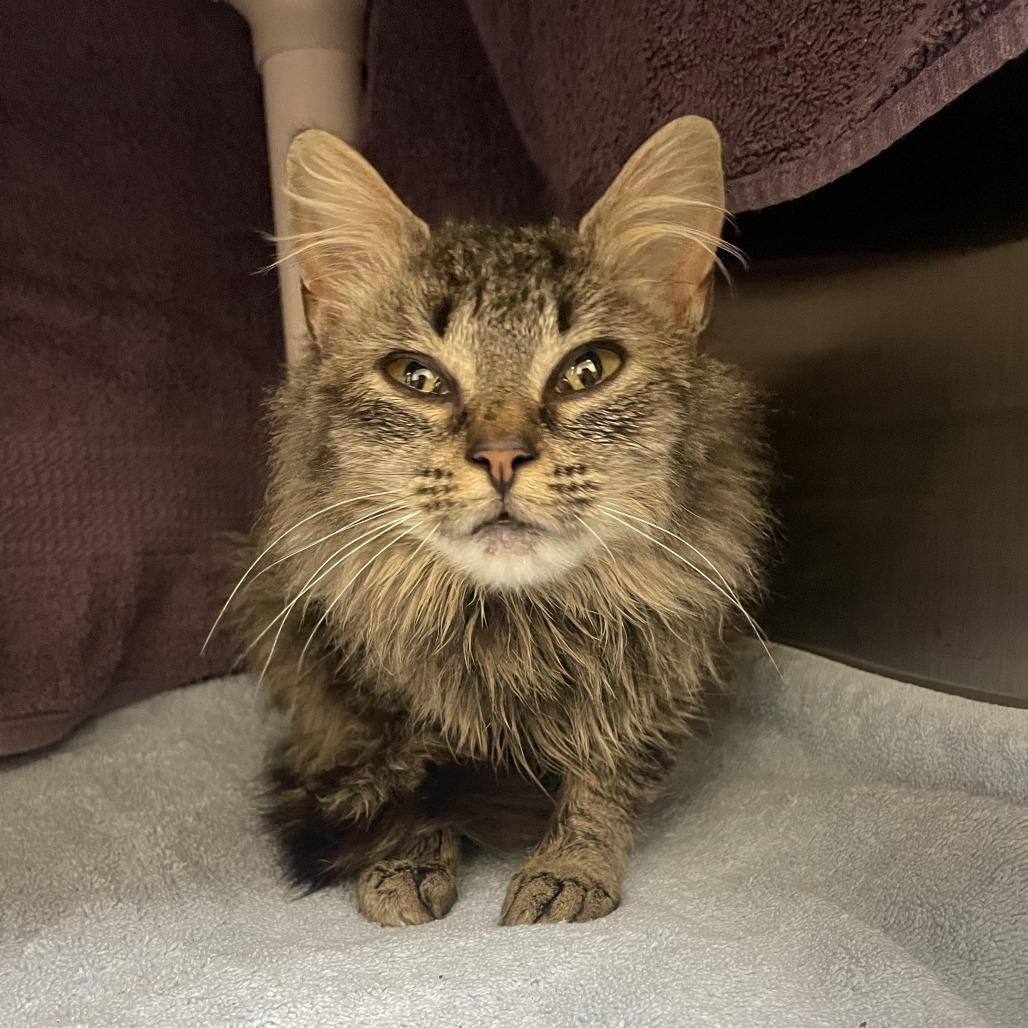 Gladys — thumbnail 3