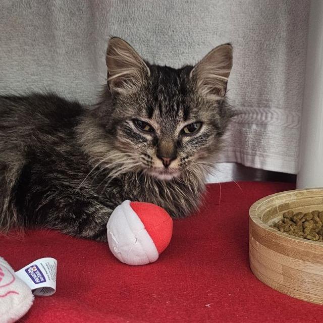 Gladys — thumbnail 5