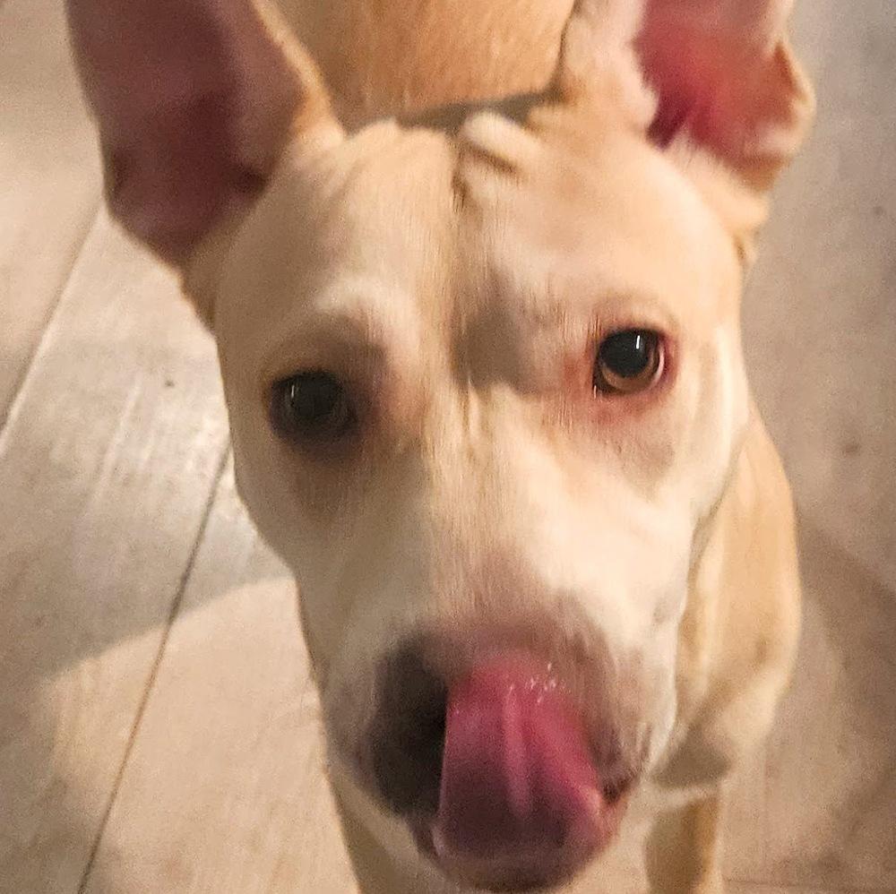 Miss Sugar thumbnail 2