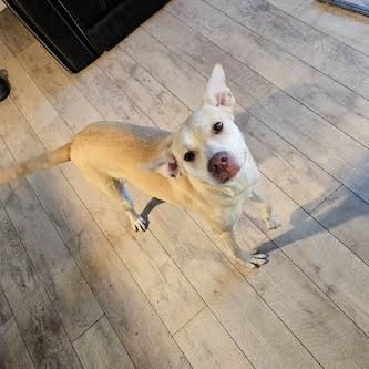 Miss Sugar thumbnail 3