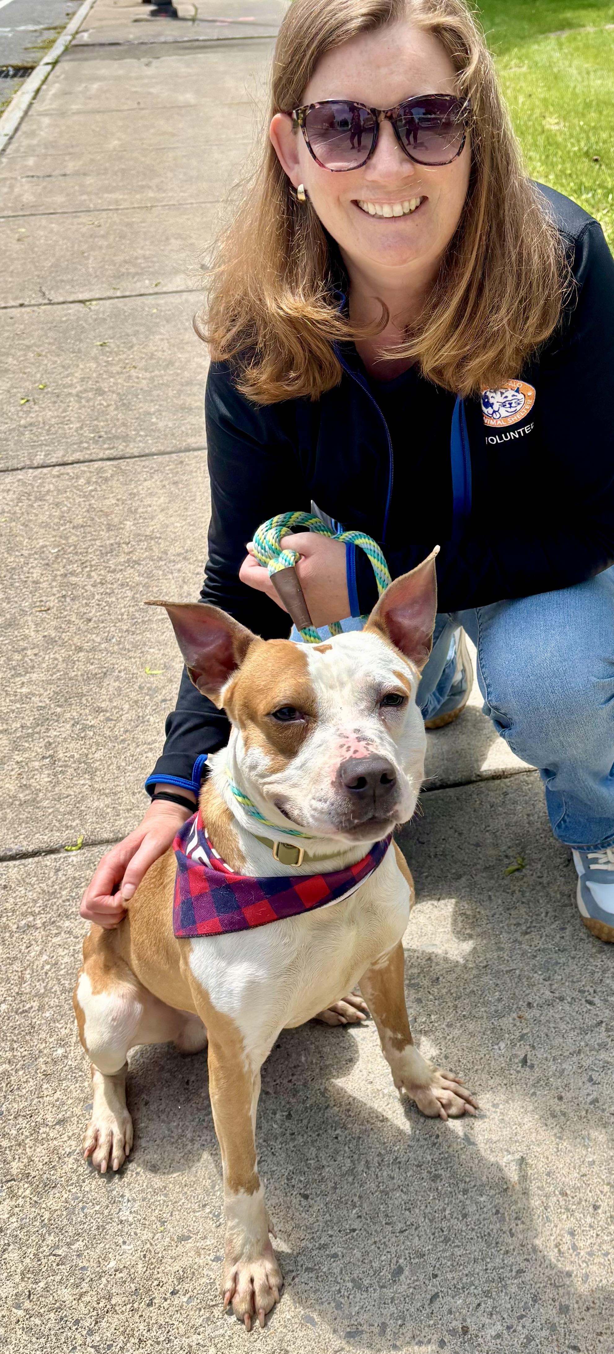 Tuch, a ADOPTABLE mixed breed in Buffalo, NY image 2/4