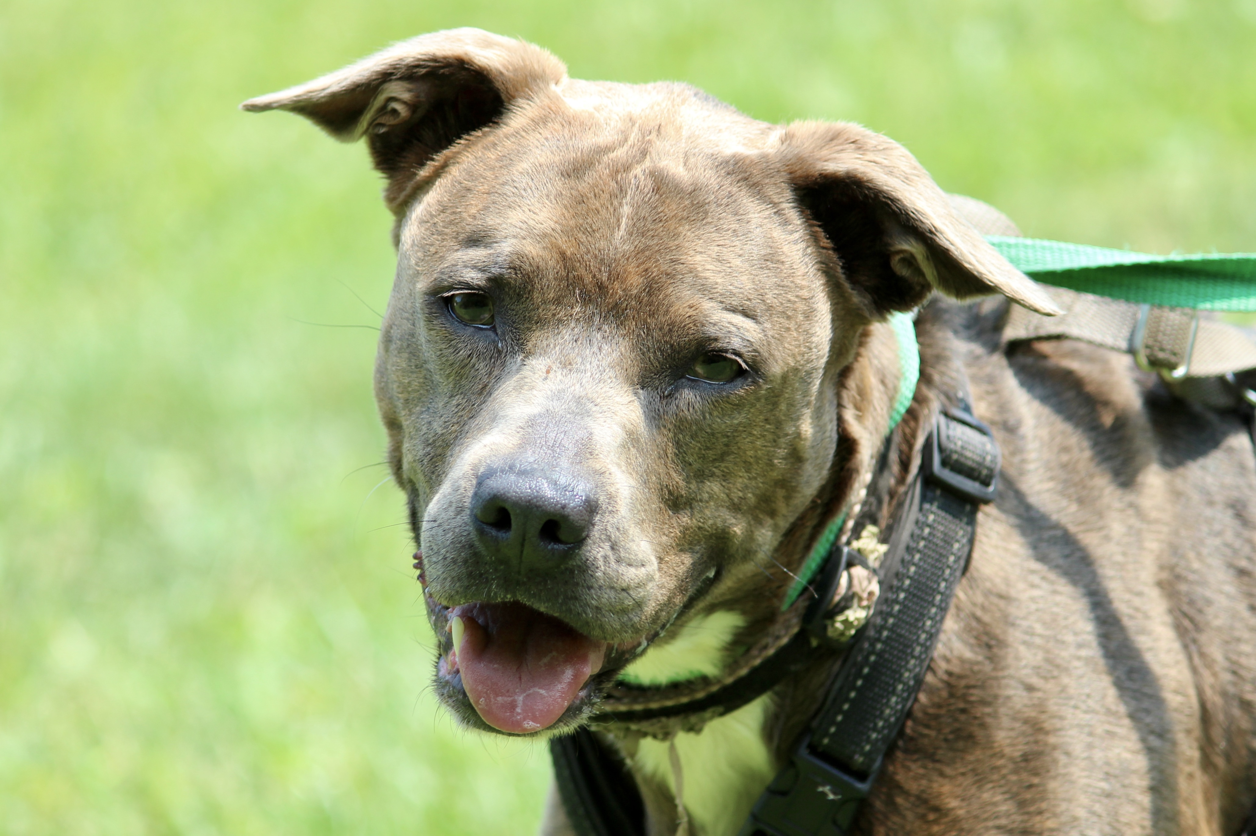 ELOISE — thumbnail 2