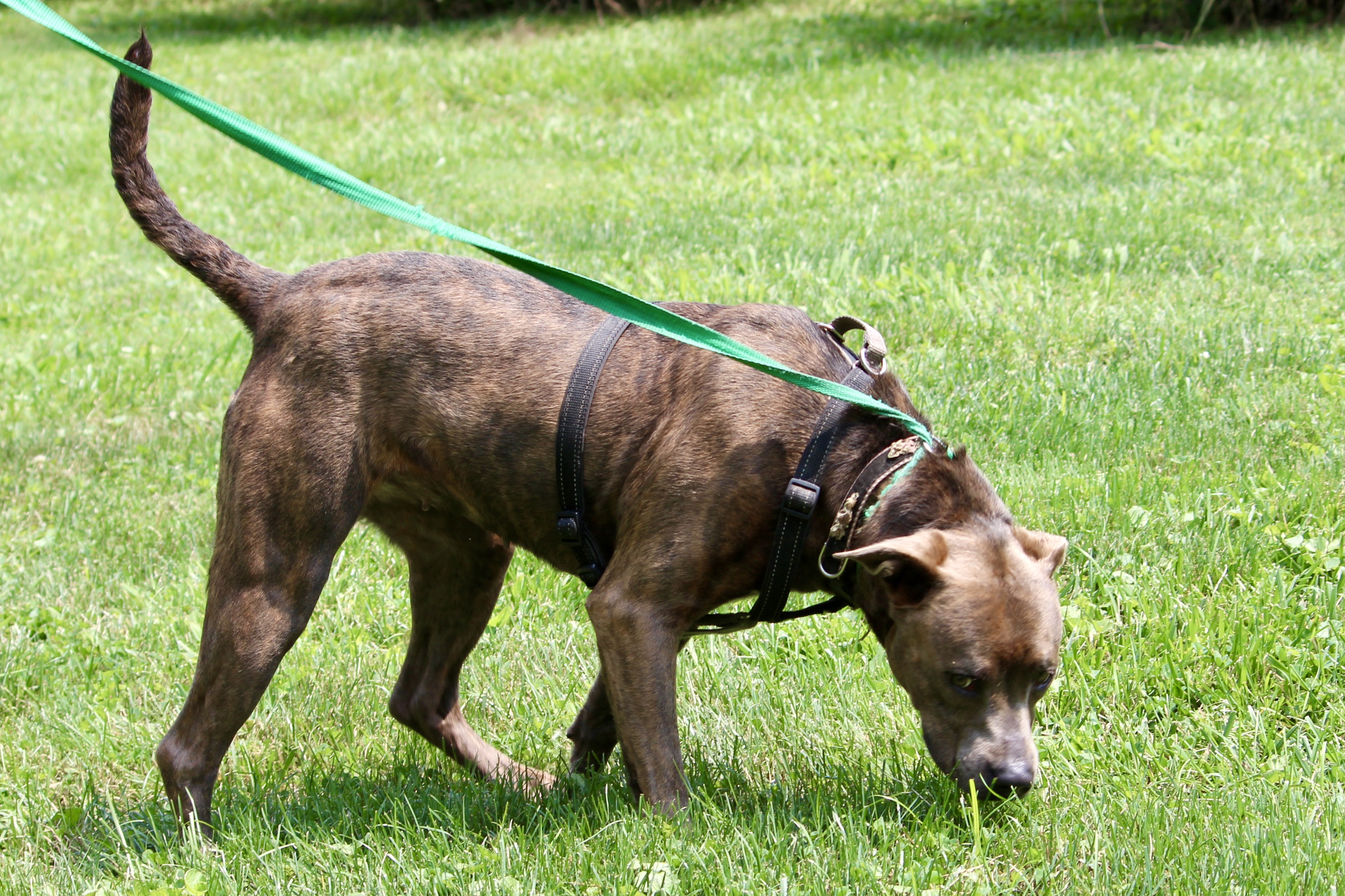 ELOISE — thumbnail 3