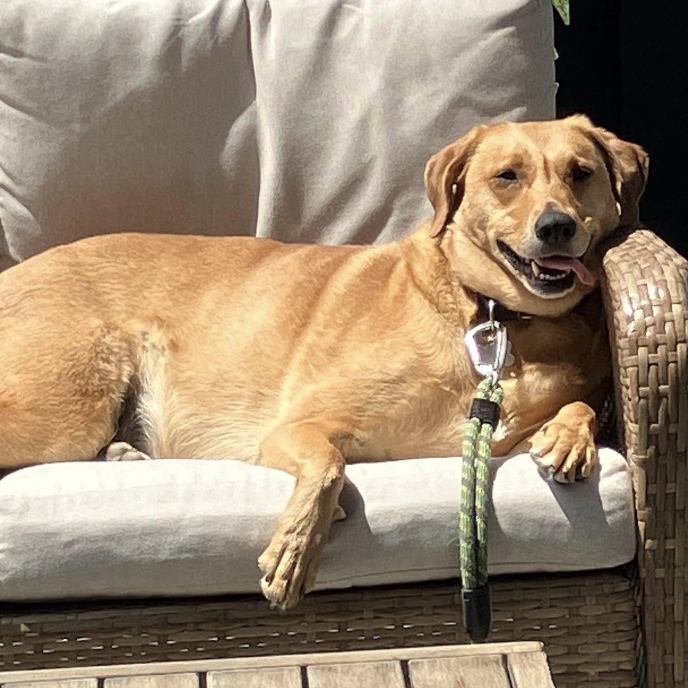 Miss Shakti aka Zoey (20221105-01)