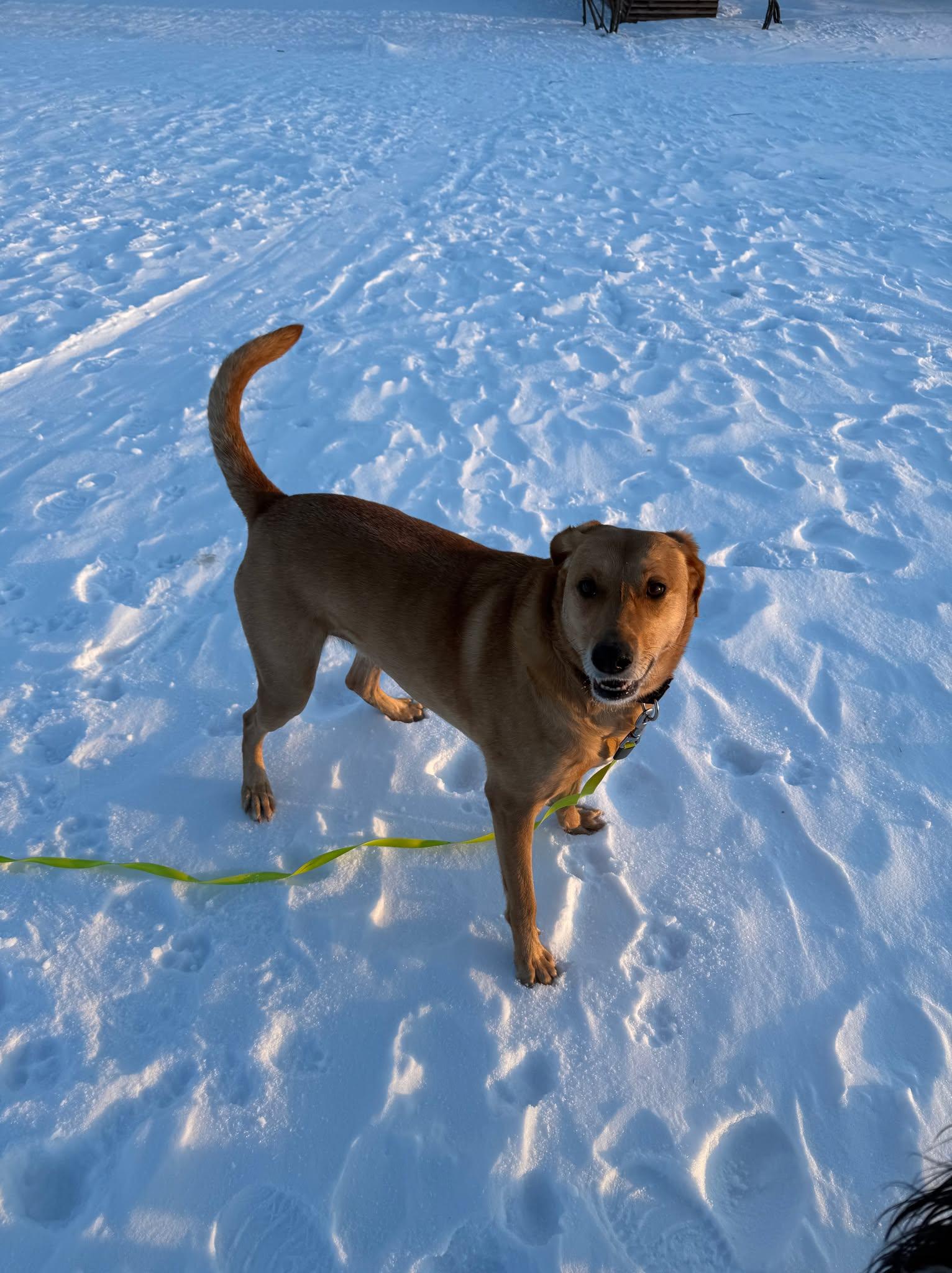 Miss Shakti aka Zoey (20221105-01) — thumbnail 5