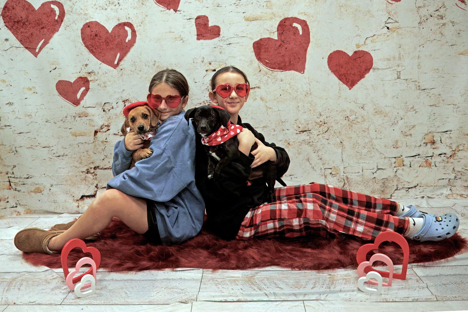 Enlarge Walter, a Adoptable Mixed Breed in Morganville, NJ image 1/3