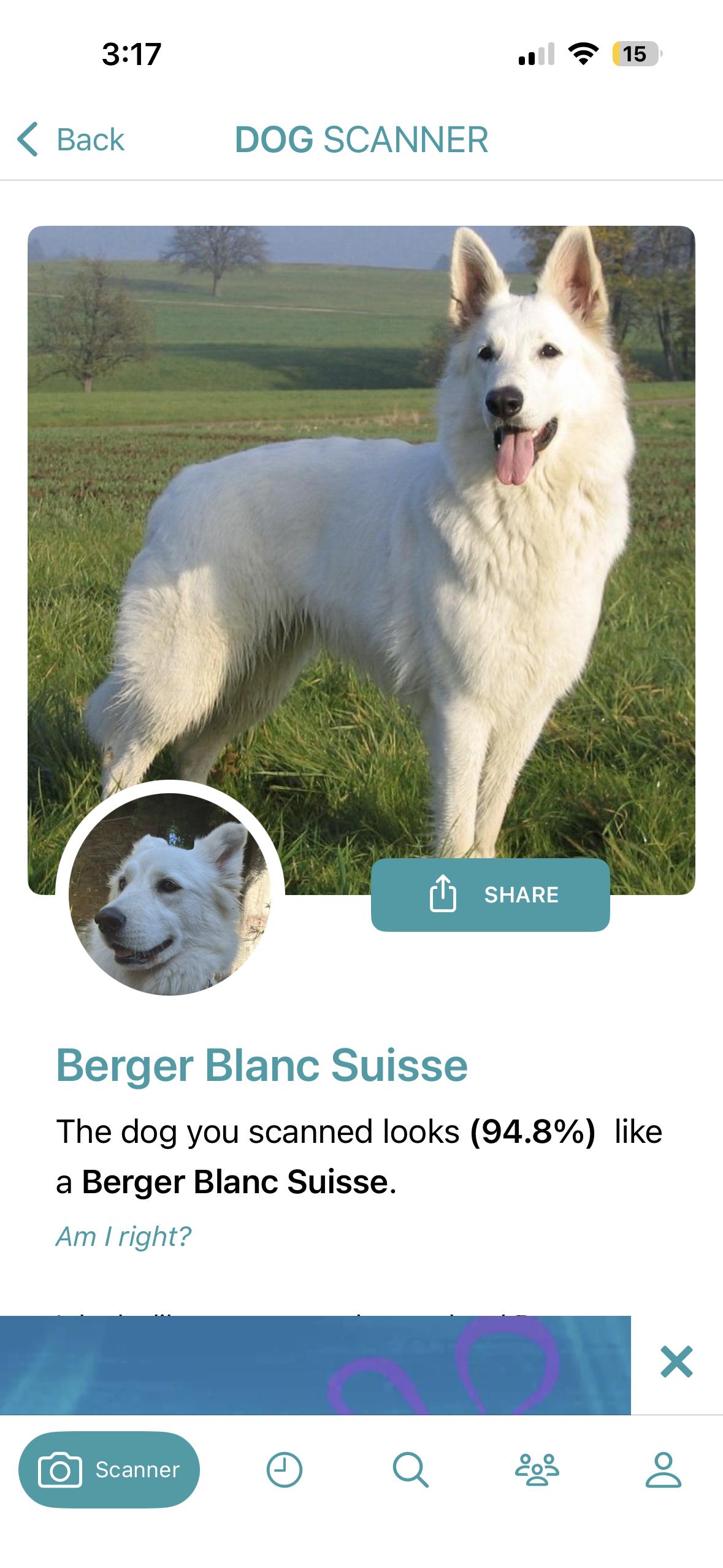 Enlarge Summer, an adopted mixed breed in Torrance, CA image 5/6