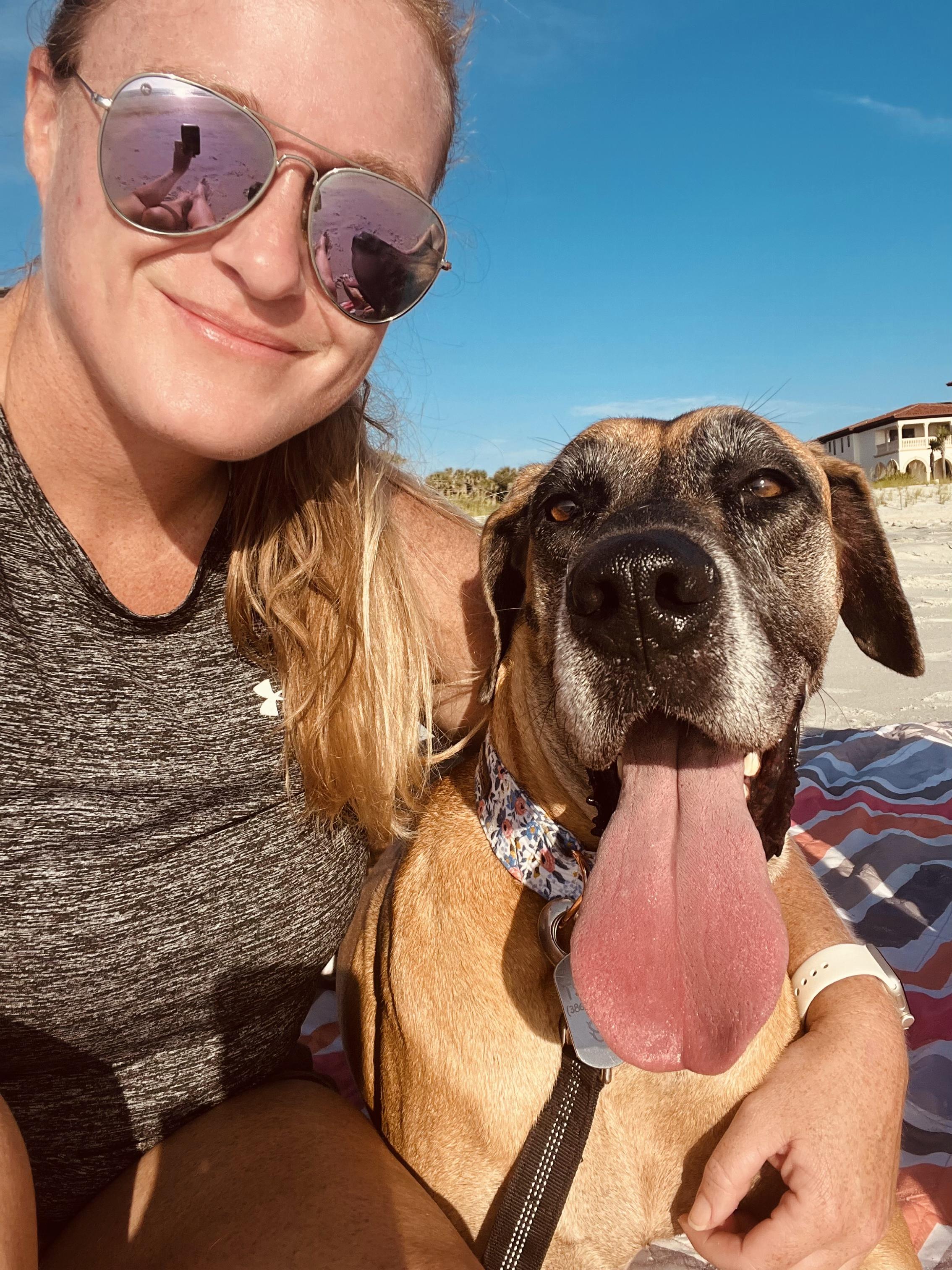 Misha, Adult Female Great Dane