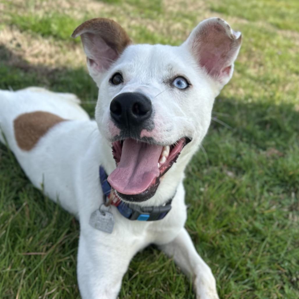 Little Lady — thumbnail 2