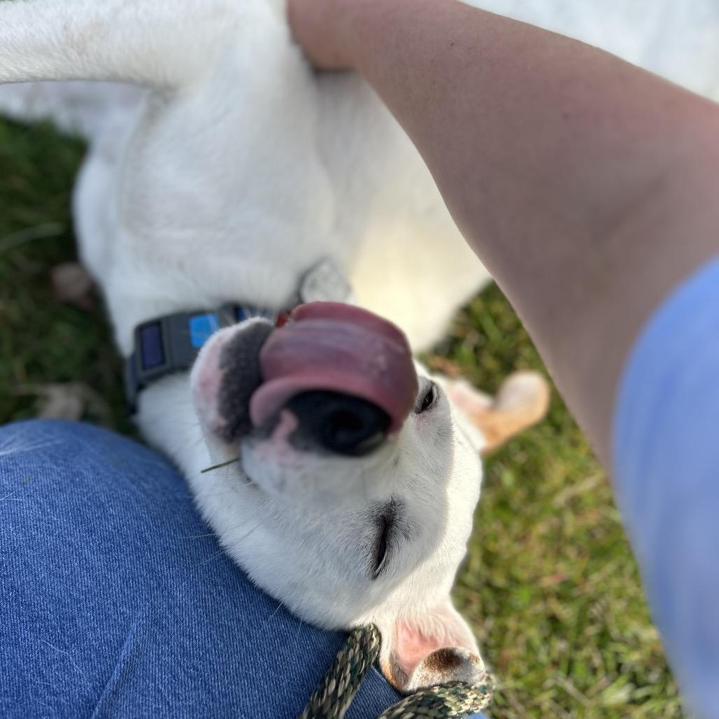 Little Lady — thumbnail 4