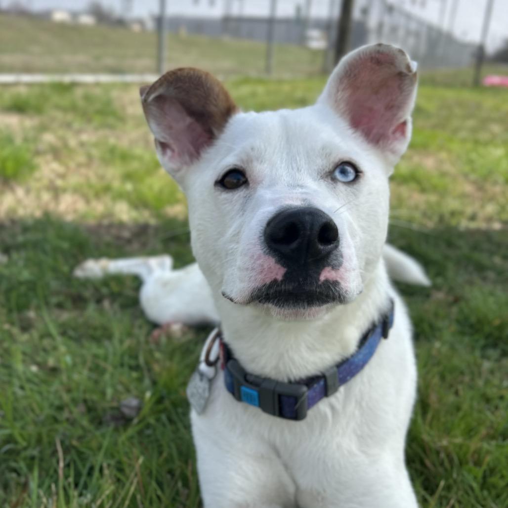 Little Lady — thumbnail 6