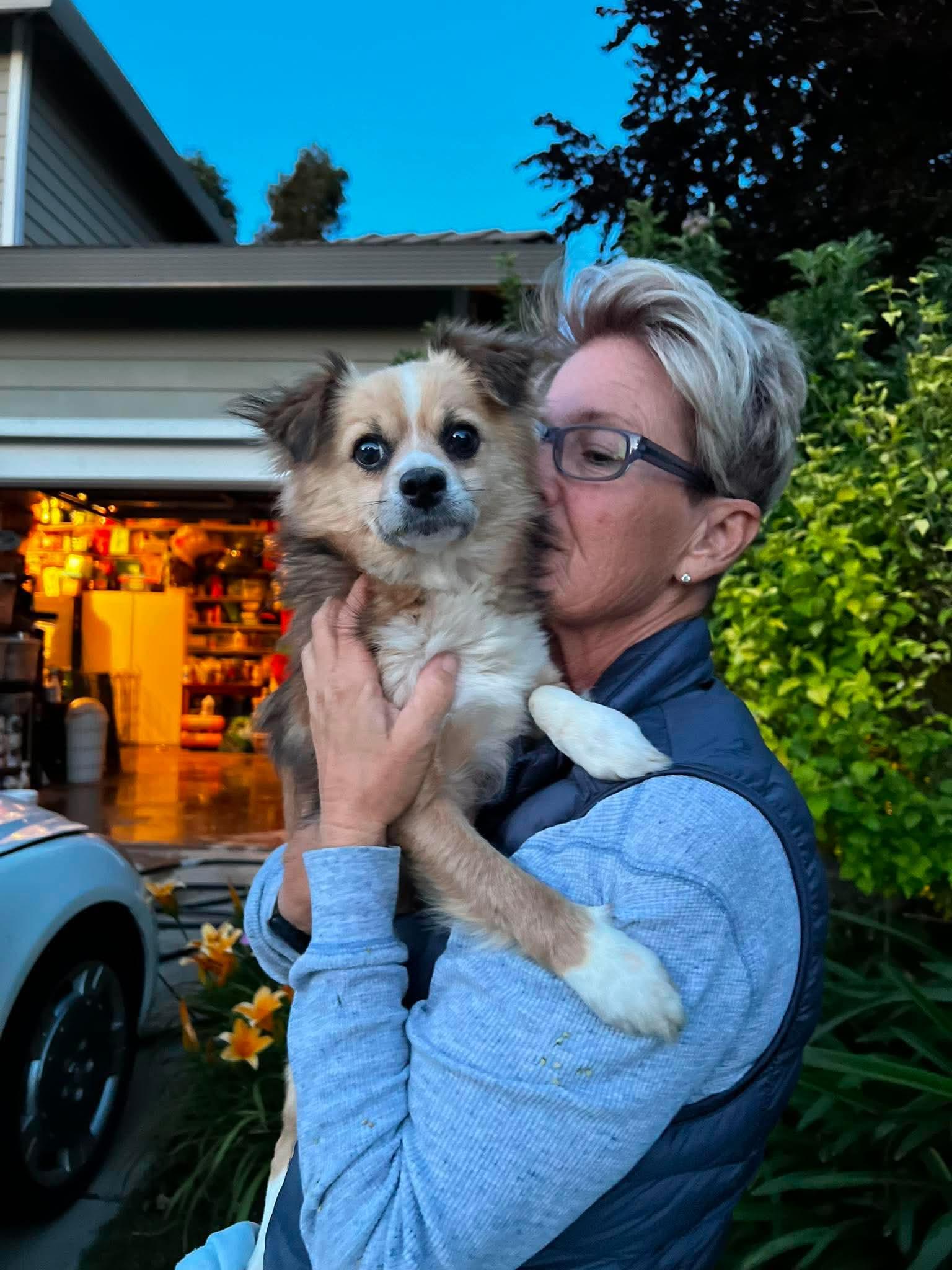 Koby, an adopted mixed breed in benicia, CA image 3/6