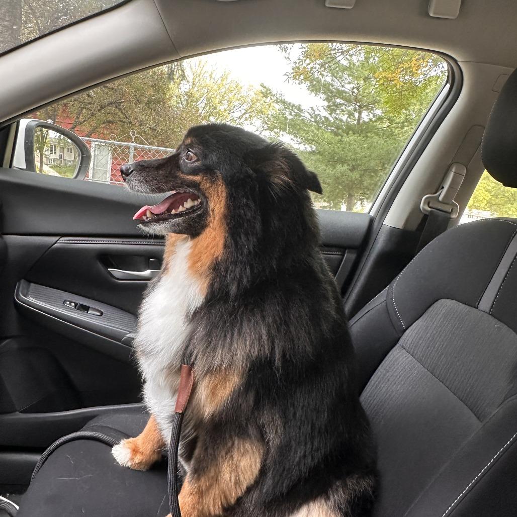 Hudson — thumbnail 2