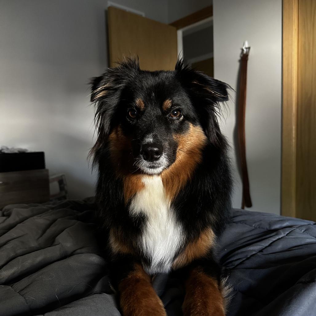 Hudson — thumbnail 3