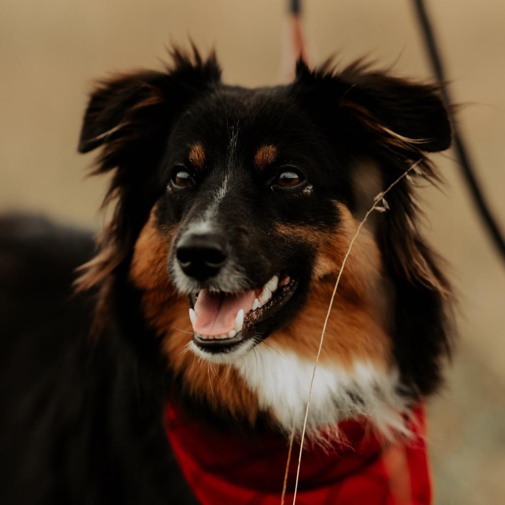 Hudson — thumbnail 4